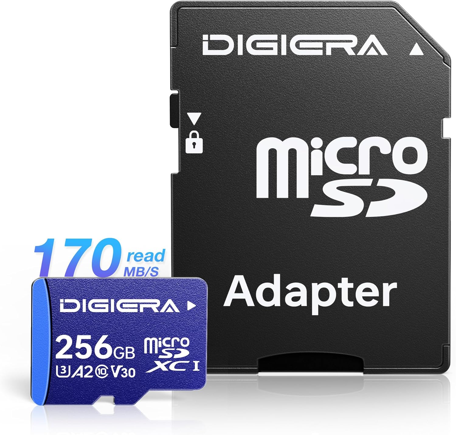 256GB LT100 microSDXC UHS-I Memory Card with Adapter